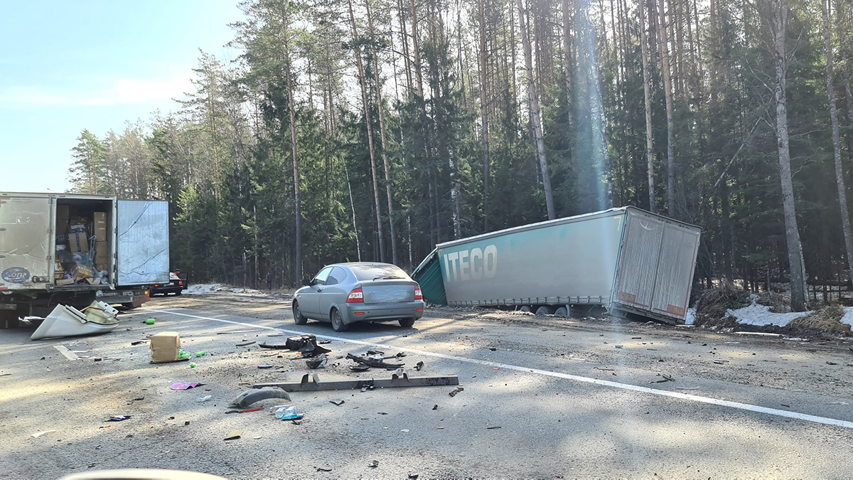 Во Владимирской области в аварии на трассе М-7 погибли 3 человека | Довод